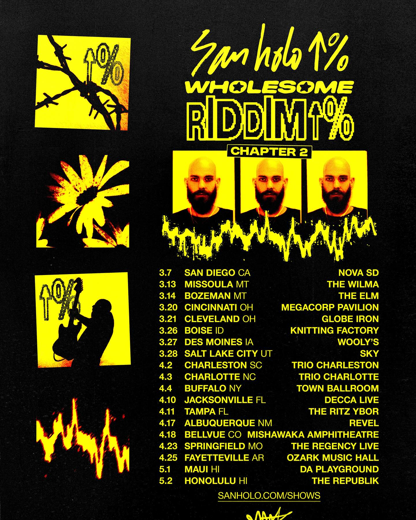 San Holo Wholesome Riddim Tour Poster 2026